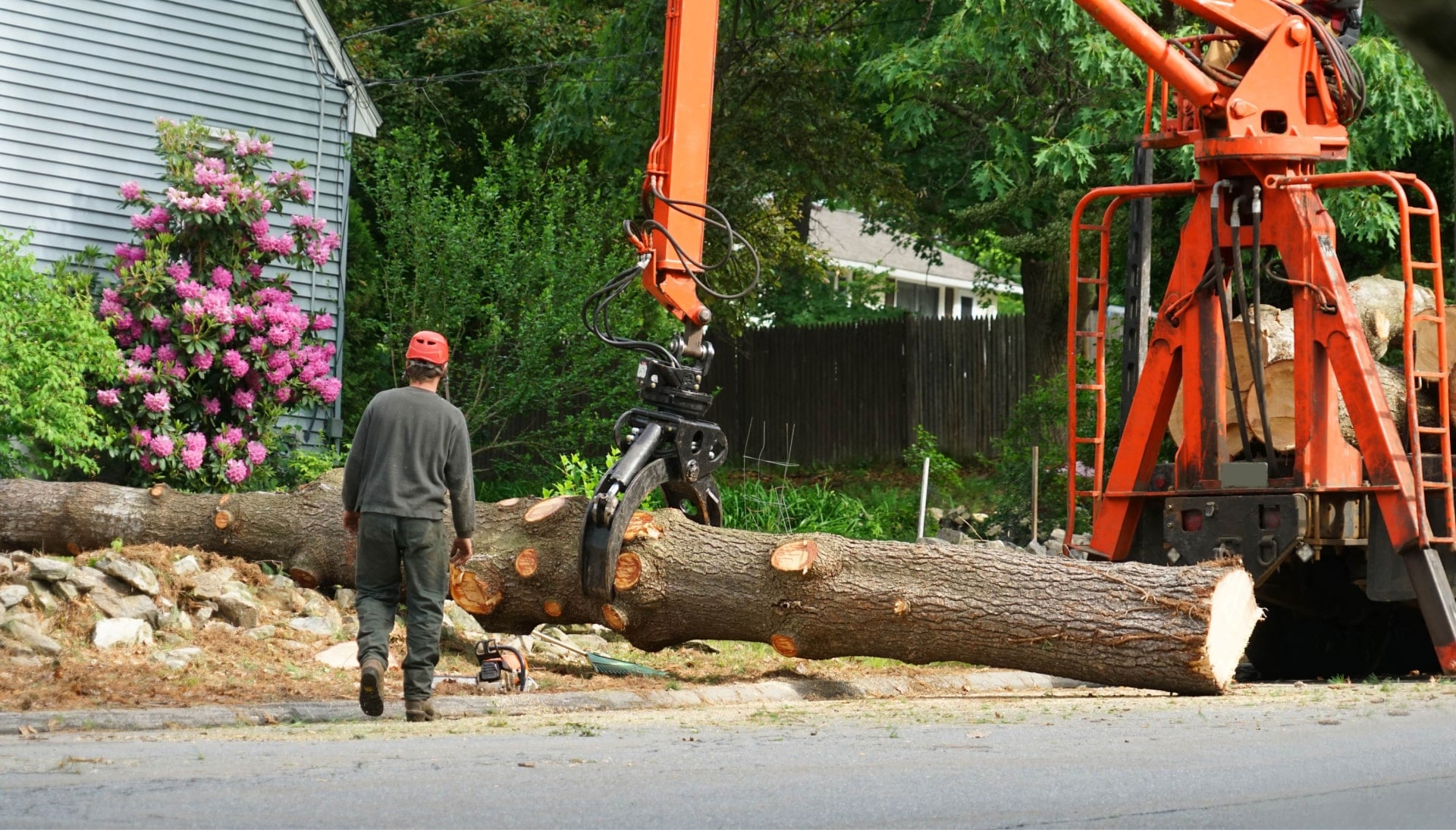 Local partner for Tree removal services in Portland